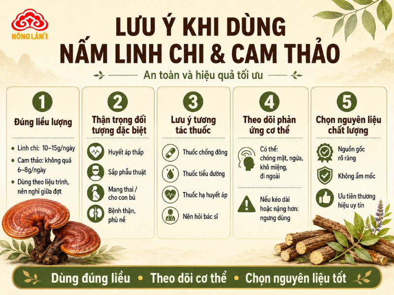 Lưu ý khi sử dụng nước nấm linh chi cam thảo