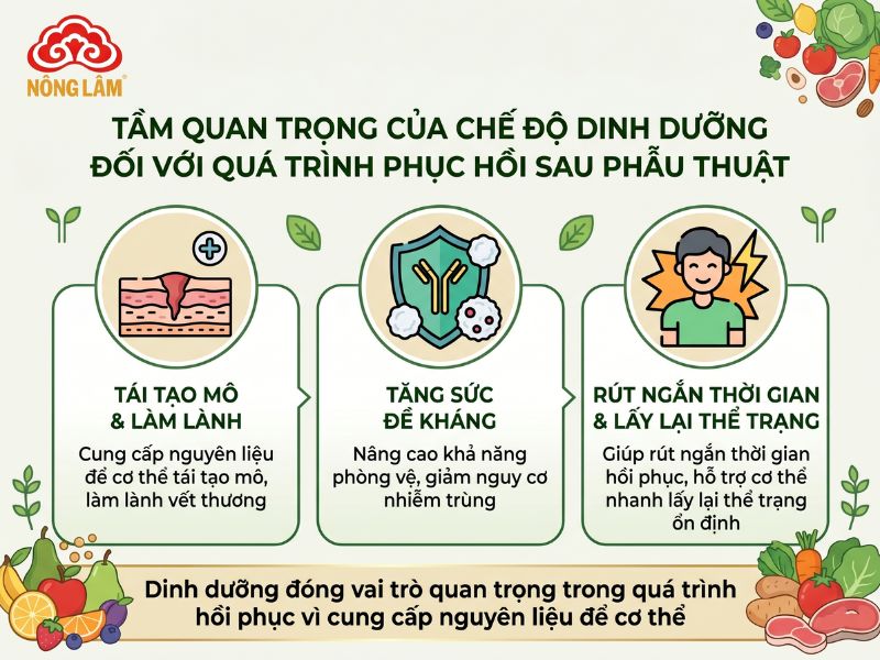 Sau Phẫu Thuật Nên Ăn Gì, Kiêng Ăn Gì Để Nhanh Lành? 9 Chế độ dinh dưỡng đóng vai trò quan trọng cho người sau phẫu thuật