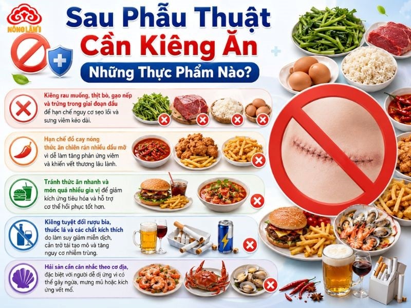Sau Phẫu Thuật Nên Ăn Gì, Kiêng Ăn Gì Để Nhanh Lành? 11 Những thực phẩm cần kiêng sau khi phẫu thuật