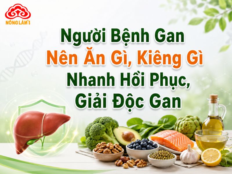 Người Bệnh Gan Nên Ăn Gì, Kiêng Gì Nhanh Hồi Phục, Giải Độc Gan 7 Giải đáp thực phẩm người bệnh gan nên ăn và nên kiêng