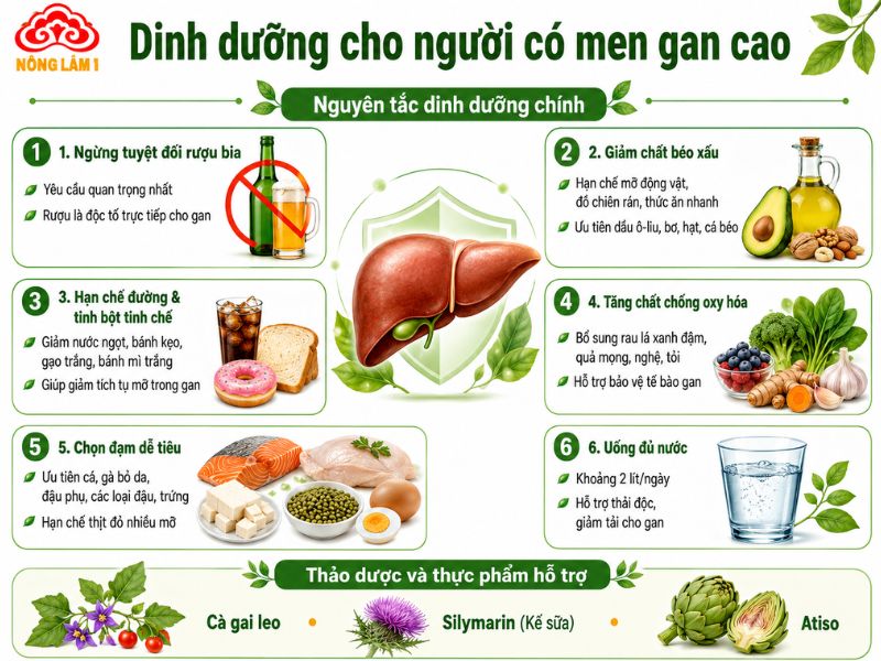 Người Bệnh Gan Nên Ăn Gì, Kiêng Gì Nhanh Hồi Phục, Giải Độc Gan 10 Dinh dưỡng cho người có men gan cao