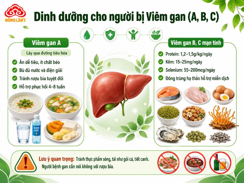Người Bệnh Gan Nên Ăn Gì, Kiêng Gì Nhanh Hồi Phục, Giải Độc Gan 11 Dinh dưỡng cho người bị viêm gan (a, b, c)
