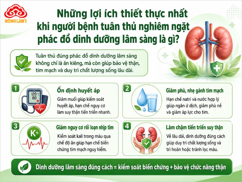 Lợi ích khi tuân thủ phác đồ dinh dưỡng với người thận yếu
