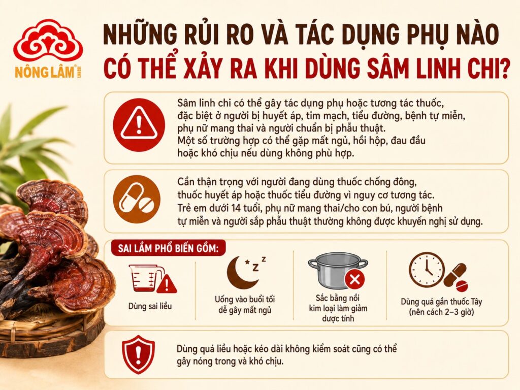 Nấm Linh Chi Kết Hợp Với Nhân Sâm Có Tốt Không? 9 Lưu ý khi kết hợp nấm linh chi và nhân sâm