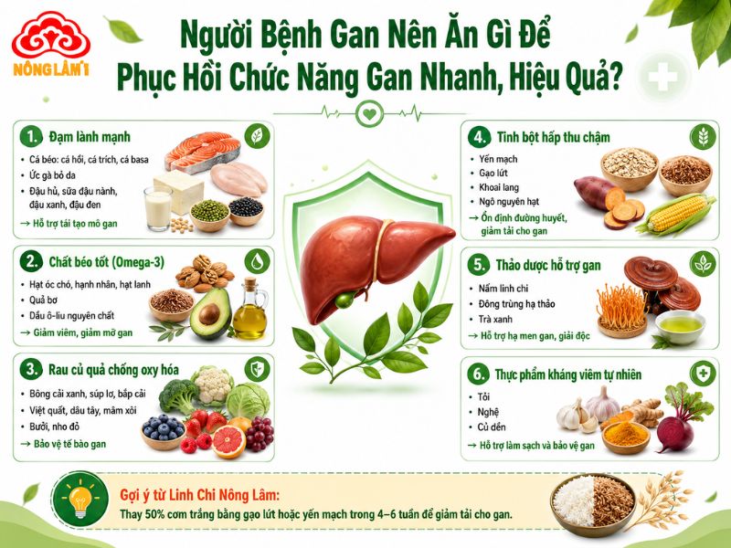 Người Bệnh Gan Nên Ăn Gì, Kiêng Gì Nhanh Hồi Phục, Giải Độc Gan 8 Thực phẩm tốt cho người bệnh gan